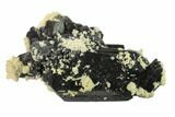 Black Tourmaline (Schorl) Crystals with Orthoclase - Namibia #132240-1